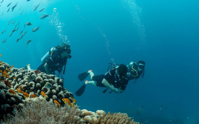Tauchmedizin mit GTÜM I Diplom