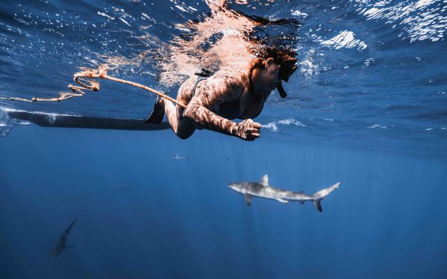 Tauchtauglichkeitsuntersuchung Eric Lorenz