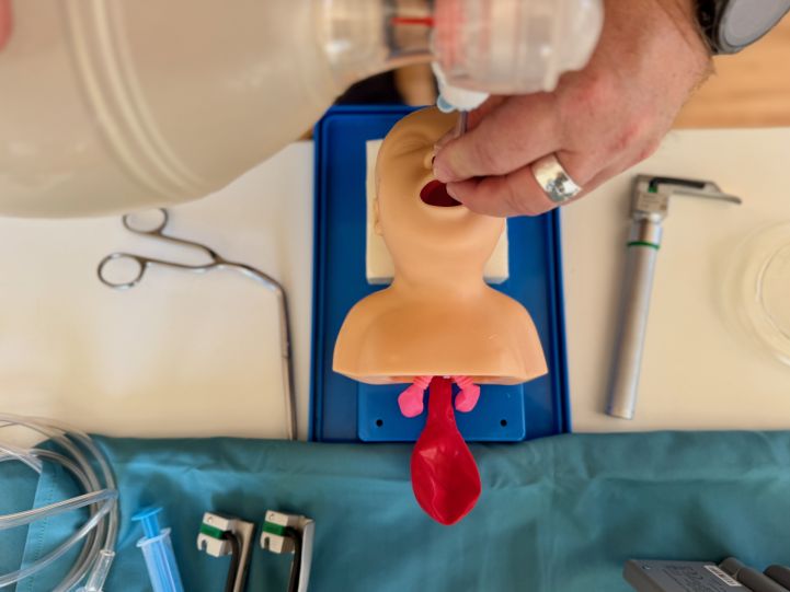 Atemwegsmanagement-Training an einer Simulationspuppe im Notfallmedizin-Kurs