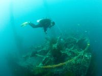 Taucher über einem historischen Schiffswrack in der Coron Bay beim Kompaktkurs Tauchmedizin 2027