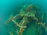 Bewachsenes Geschütz der Olympia Maru in der Coron Bay bei Sangat Island beim Wracktauchen