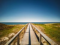 Holzsteg durch die Dünen mit Blick auf das Meer auf Sylt beim Flugmedizin-Kurs