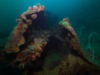 Bewachsenes Schiffswrack in der Coron Bay bei Sangat Island – Tauchrevier des Kompaktkurses Tauchmedizin 2027