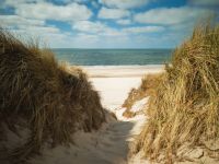 Dünenweg mit Blick auf den Strand von Sylt beim Flugmedizin-Kurs