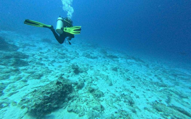 Dr. med. Wulfram Höhn