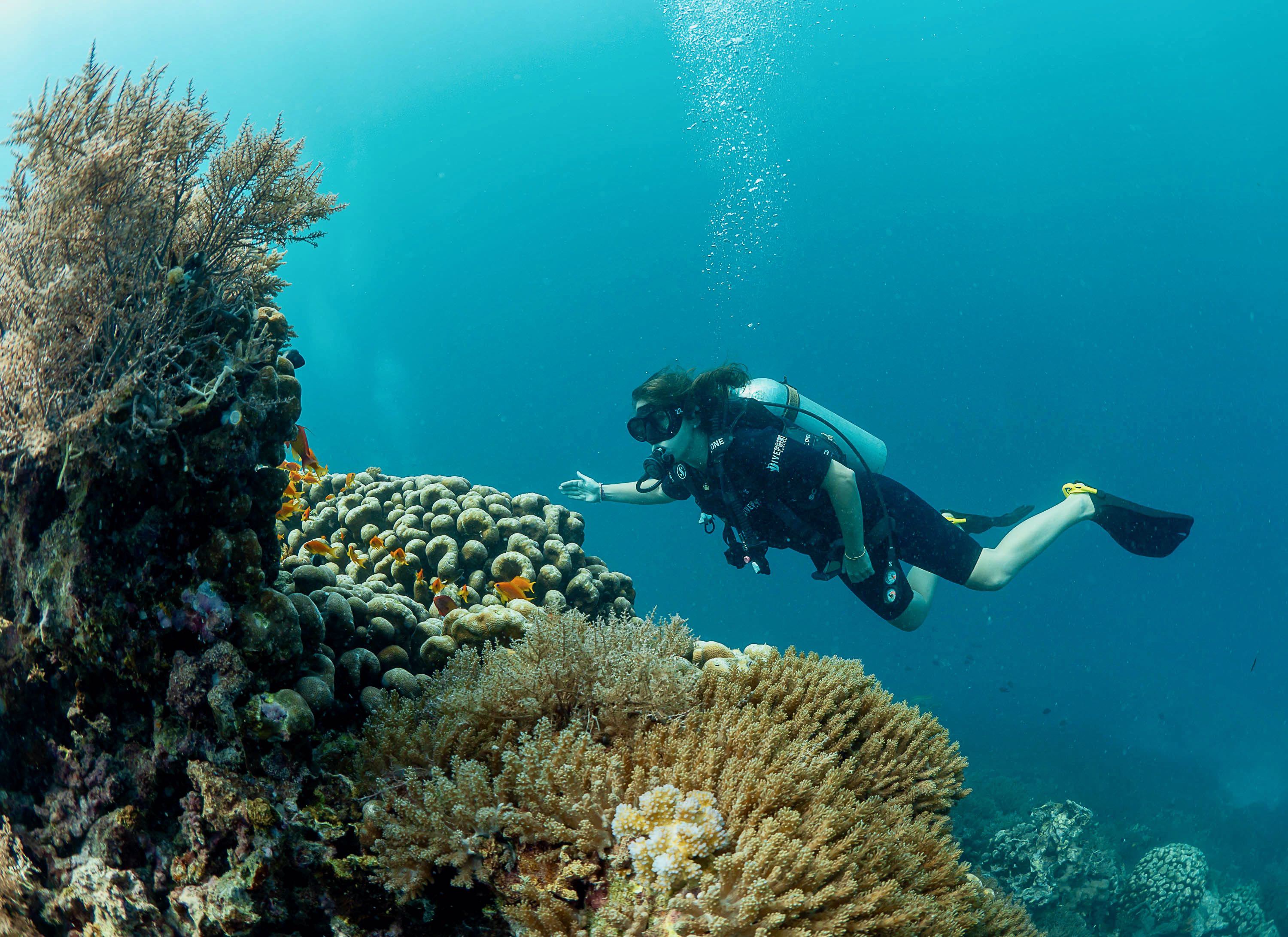 Ärztin während eines Ausbildungstauchgangs im Rahmen der tauchmedizinischen Fortbildung